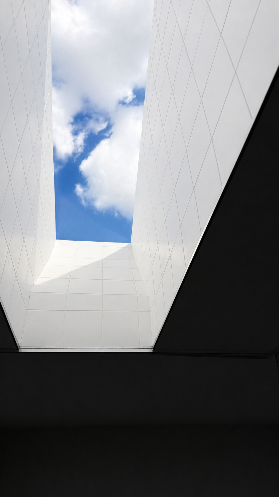 Master Shower Skylight